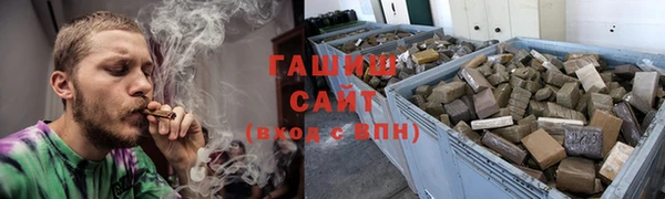 индика Магас