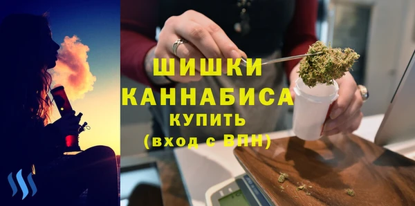индика Магас