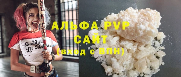 индика Магас