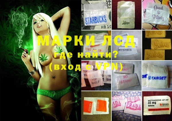 индика Магас