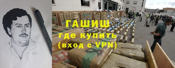 индика Магас