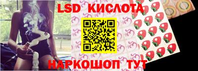 кокс Кандалакша