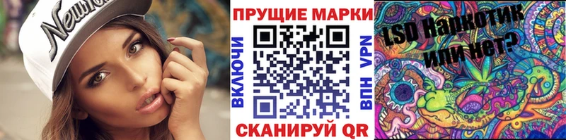 darknet какой сайт  Пятигорск  Наркотические марки 1,8мг  где продают  