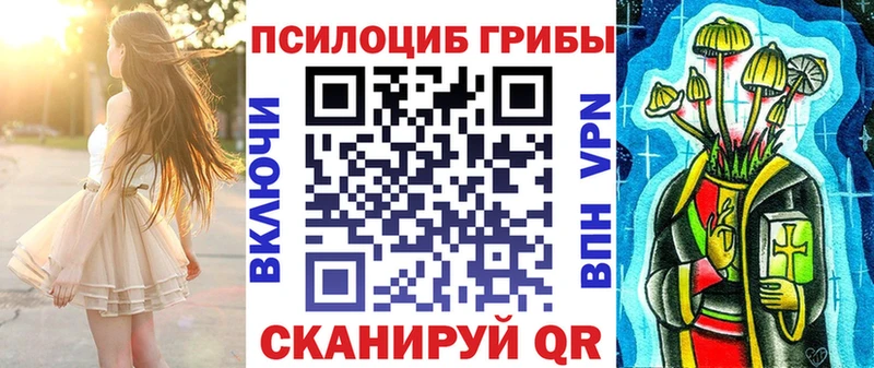 площадка формула  как найти   Пятигорск  Галлюциногенные грибы Magic Shrooms 