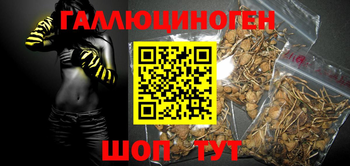 Галлюциногенные грибы Magic Shrooms Пятигорск