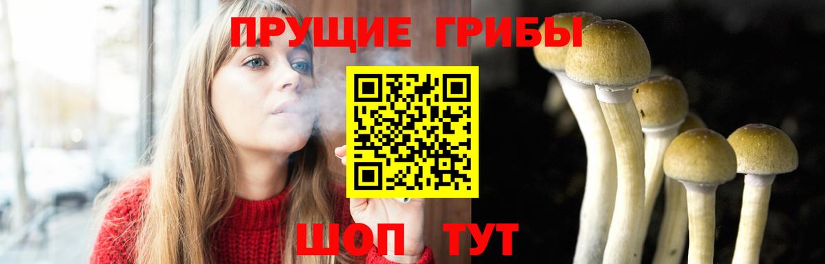 наркота  Псилоцибиновые грибы мухоморы  Вход с VPN  Галлюциногенные грибы мухоморы  Пятигорск 