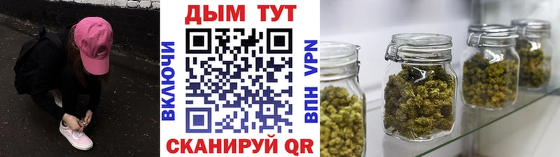 Бошки Шишки марихуана Пятигорск