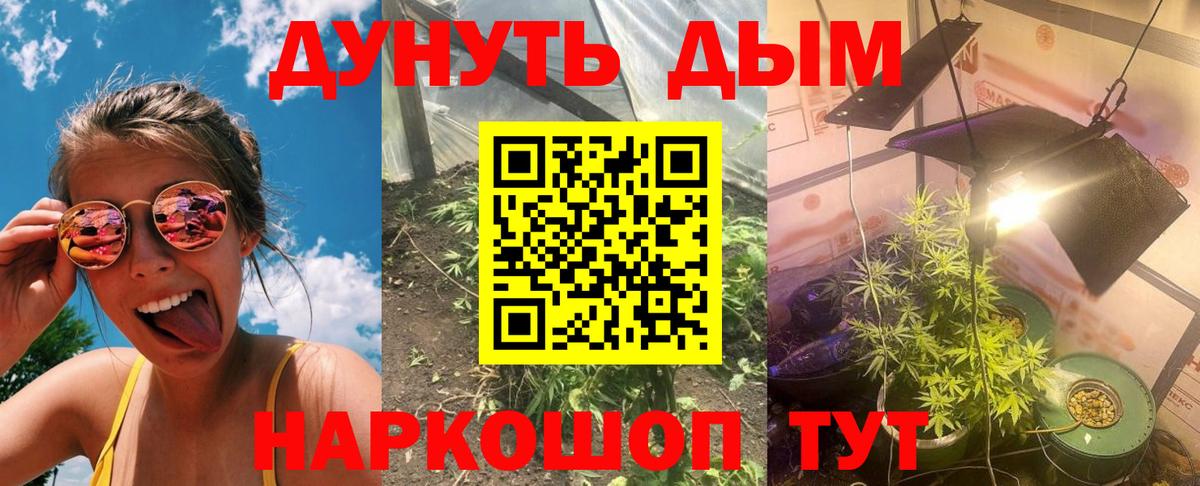 Бошки Шишки SATIVA & INDICA  Пятигорск  Конопля AK-47 